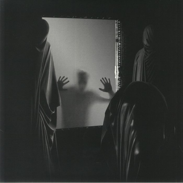AEVITERNE - The Ailing Facade vinyl sleeve