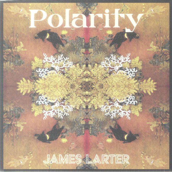 LARTER, James - Polarity vinyl sleeve