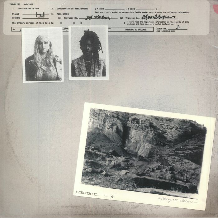 700 BLISS - Nothing To Declare vinyl sleeve