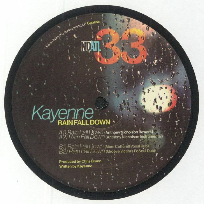 KAYENNE - Rain Fall Down (Anthony Nicholson, Marc Cotterell mixes) vinyl sleeve