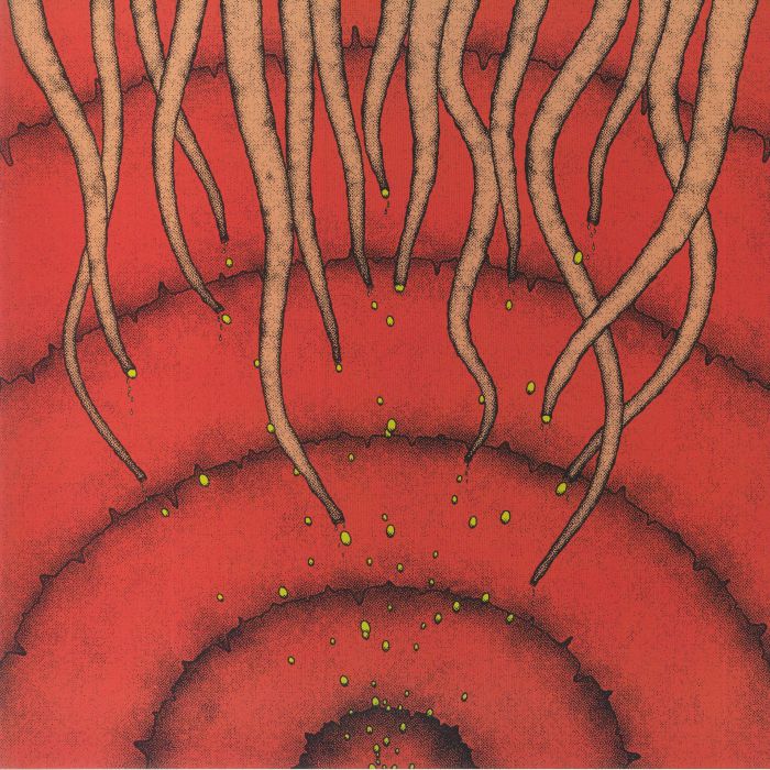 ICEBERG - Final Thaw vinyl sleeve