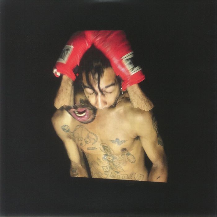 VELVET NEGRONI - Bulli vinyl sleeve