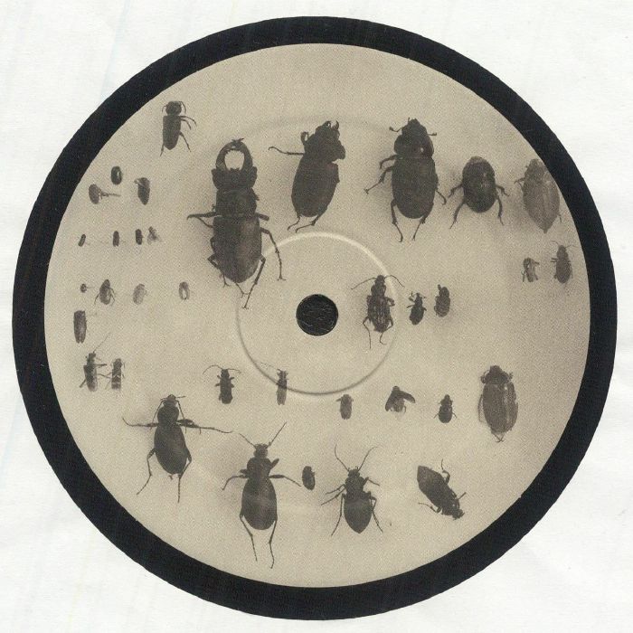 FAUTZI, Lewis - You Can't Step On The Same Risk Twice EP vinyl sleeve