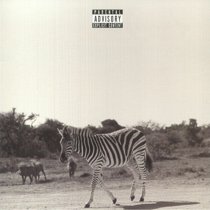 LOUIS VI - Earthling vinyl sleeve