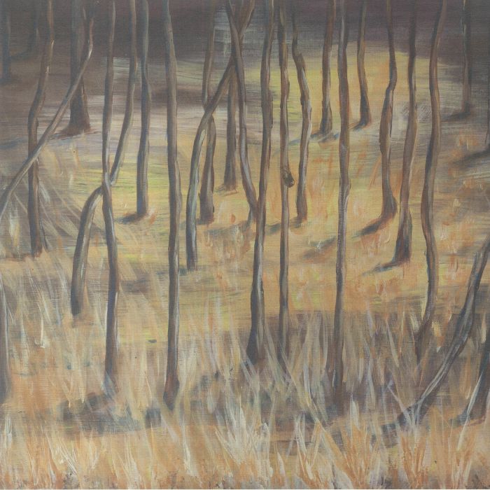 HALE, Eddie - Far Beyond vinyl sleeve