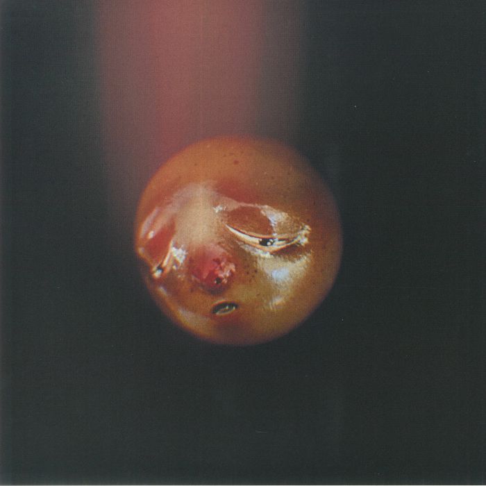 POOLBLOOD - Mole vinyl sleeve
