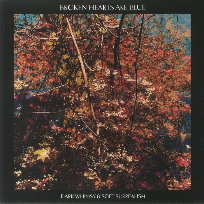 BROKEN HEARTS ARE BLUE - Dark Whimsy & Soft Surrealism vinyl sleeve