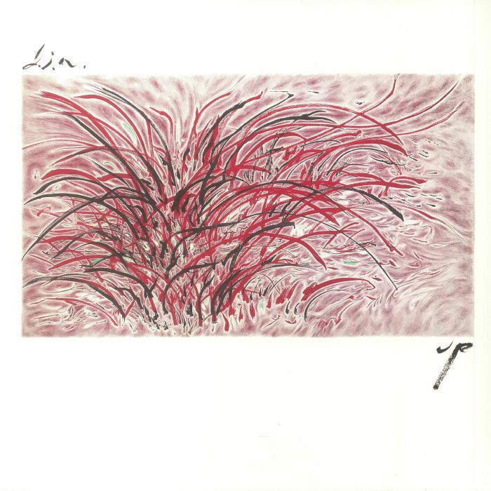 DIN - Up vinyl sleeve