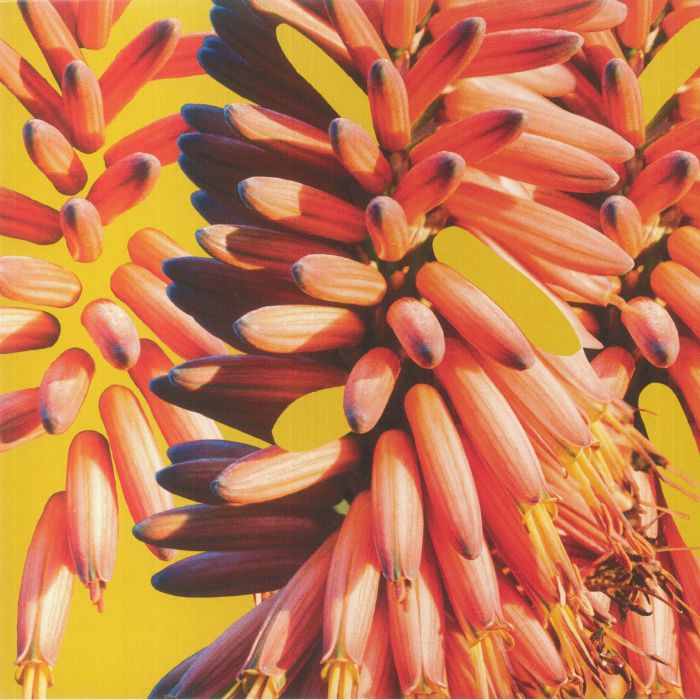 SAMPOLOGY/CHARLIE HILL - Galaxy vinyl sleeve