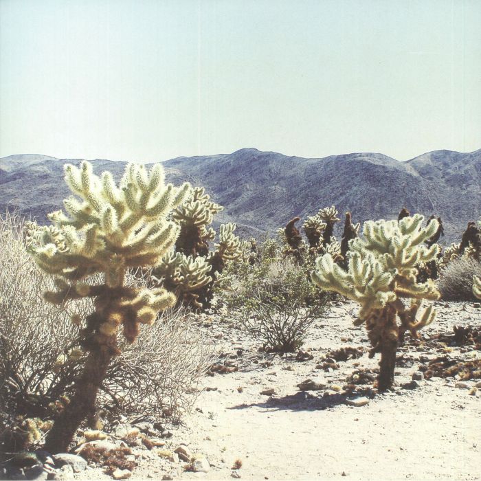 ANDREA - Due In Color vinyl sleeve