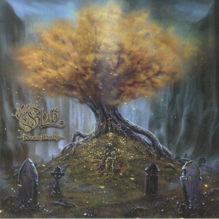 FLUB - Dream Worlds vinyl sleeve