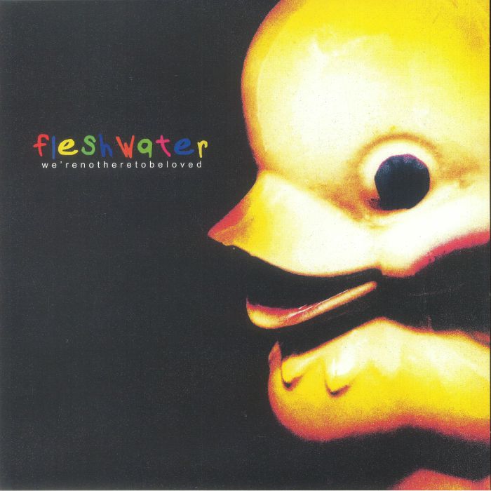 FLESHWATER - We're Not Here To Be Loved vinyl sleeve