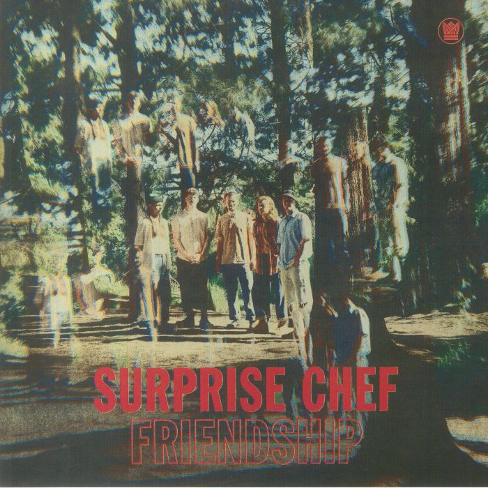 SURPRISE CHEF - Friendship vinyl sleeve