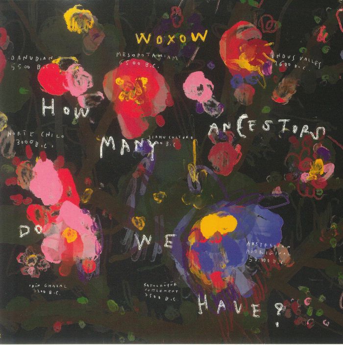 WOXOW - How Many Ancestors Do We Have? vinyl sleeve