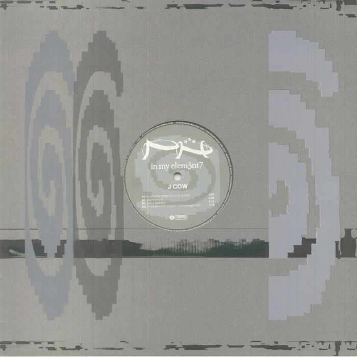 JCOW - In My Elem3nt7 vinyl sleeve