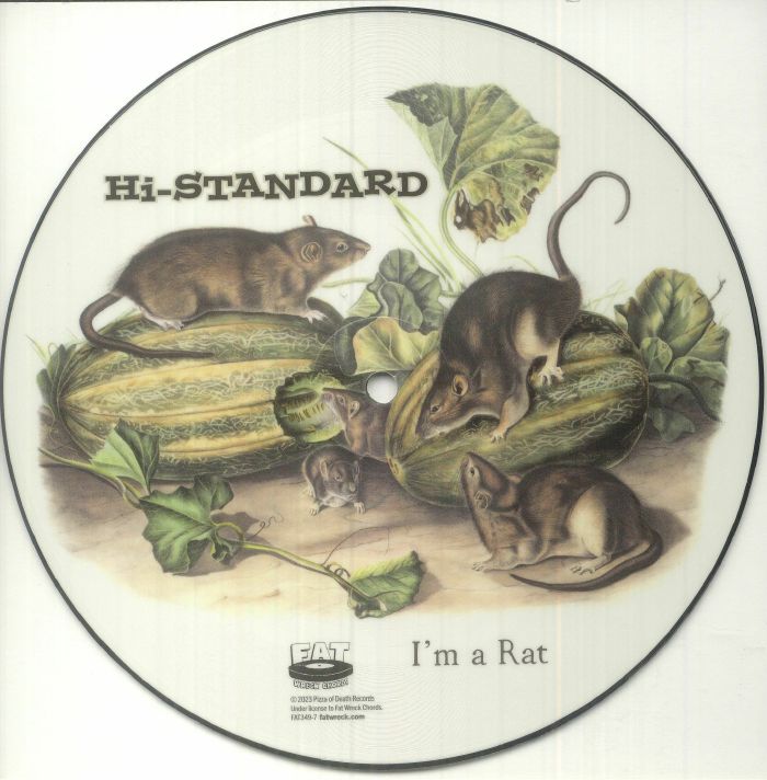 HI STANDARD - I'm A Rat vinyl sleeve