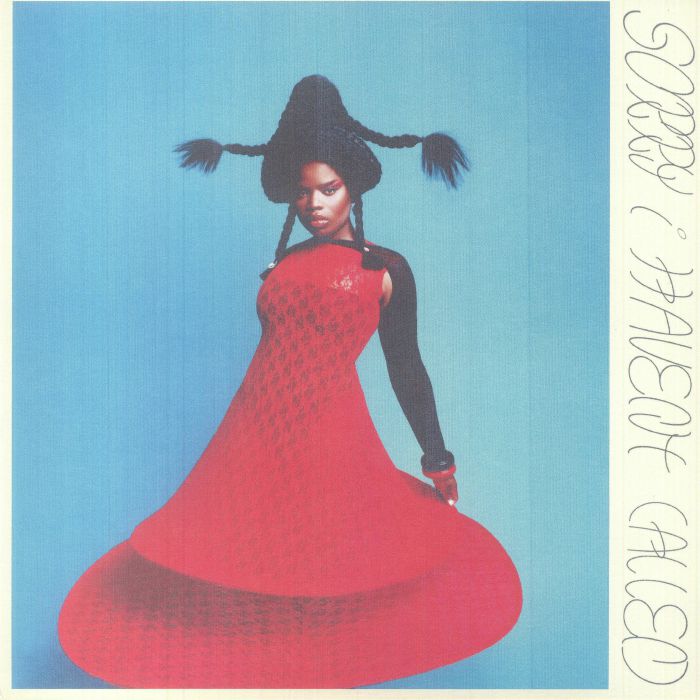 VAGABON - Sorry I Haven't Called vinyl sleeve