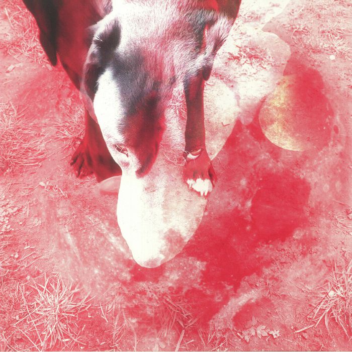 EYSERMANS, Ann - Moonlight Shadoh vinyl sleeve