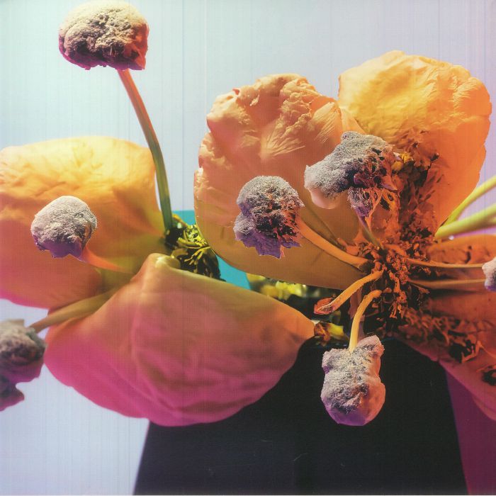 BRAINBEATS/PASTRESDROLE/SPLT/0 CONFIDENCE/DJ IGUANE/SMOGO - Compilation CJA 04 vinyl sleeve