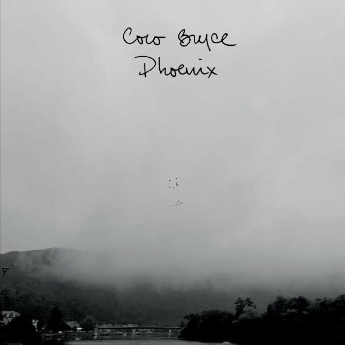 COCO BRYCE - Phoenix vinyl sleeve