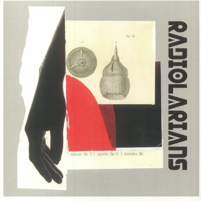 RADIOLARIANS - Radiolarians vinyl sleeve