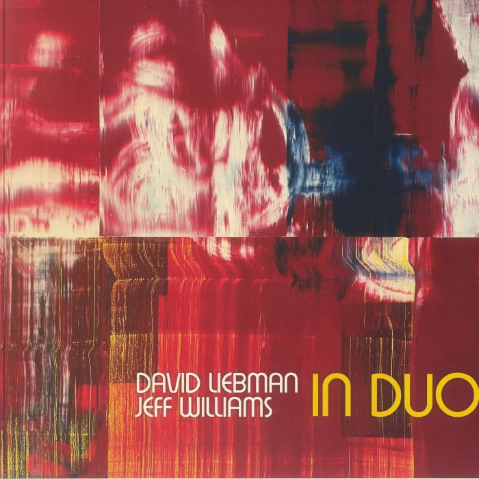 LIEBMAN, Dave/JEFF WILLIAMS - In Duo vinyl sleeve
