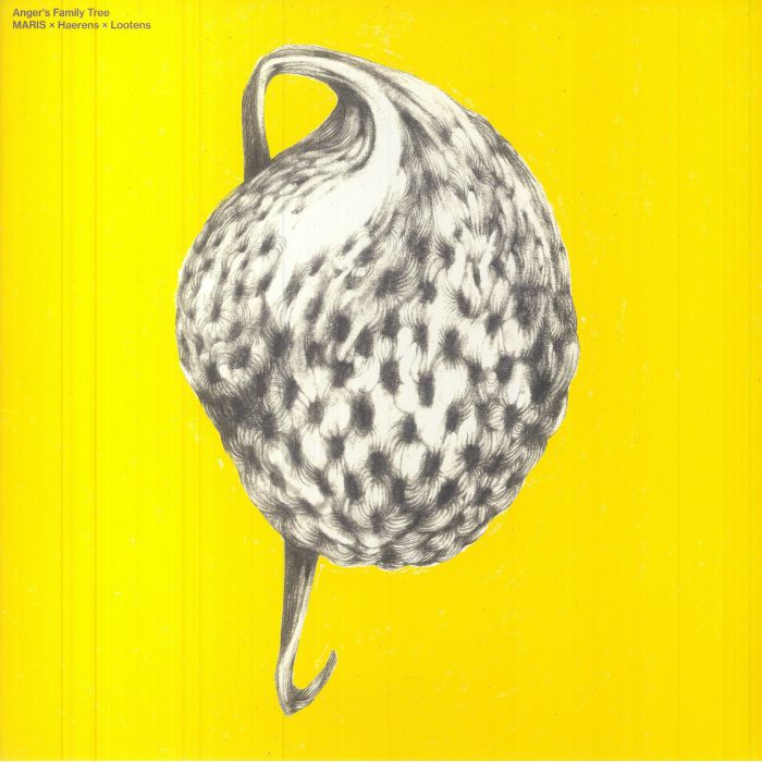 MARIS/ASTRID HAERENS/JASMIJN LOOTENS - Anger's Family Tree vinyl sleeve
