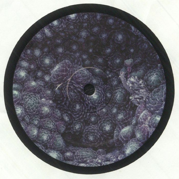 ORBE - Incremental vinyl sleeve