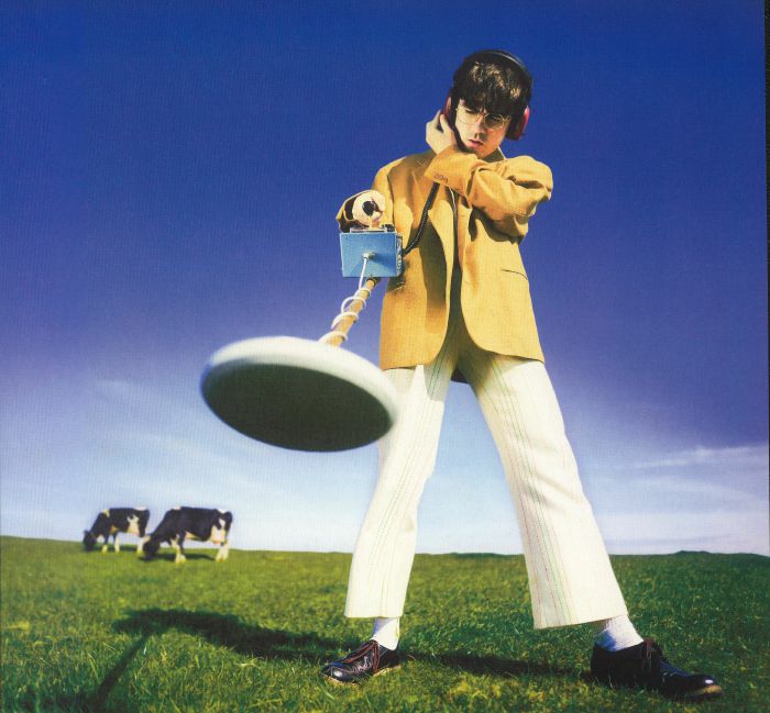 McKENNA, Declan - What Happened To The Beach? vinyl sleeve