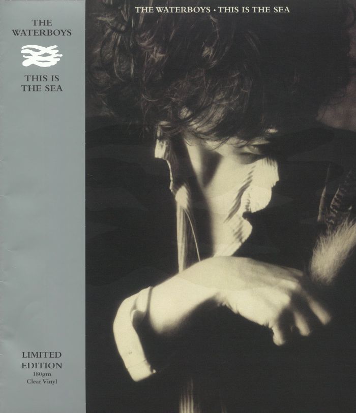 WATERBOYS, The - This Is The Sea (reissue) vinyl sleeve