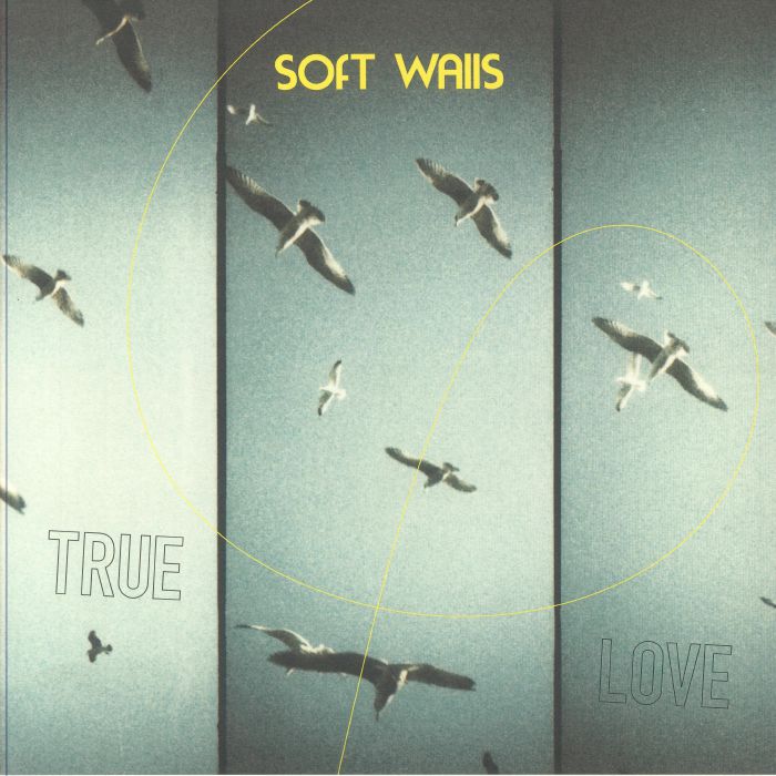 SOFT WALLS - True Love vinyl sleeve