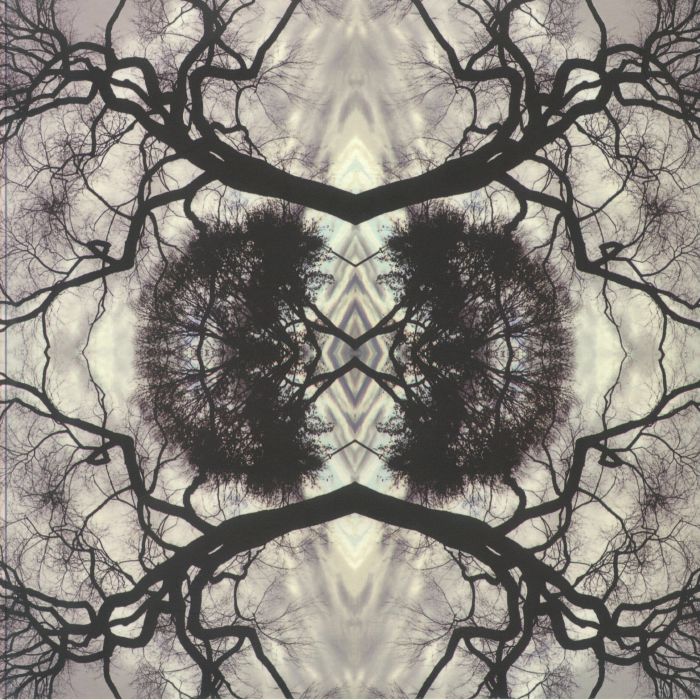 RUDOLPH, Adam/GO ORGANIC ORCHESTRA - Sonic Mandala vinyl sleeve