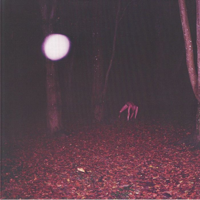 BUZZARD BUZZARD BUZZARD - Skinwalker vinyl sleeve